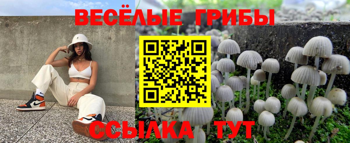 Галлюциногенные грибы GOLDEN TEACHER  Вход с VPN  Белгород  Псилоцибиновые грибы прущие грибы 