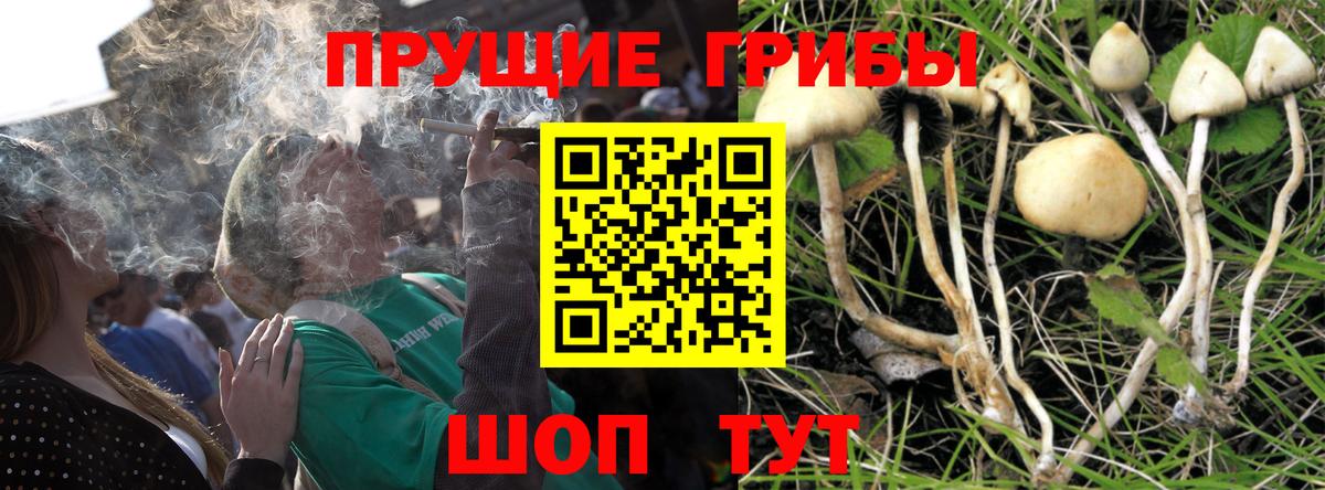 Галлюциногенные грибы Magic Shrooms Белгород